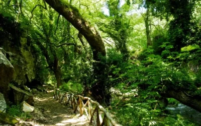 Με απόλυτη επιτυχία η διεξαγωγή του Winterun Παλιά Καβάλα 2023