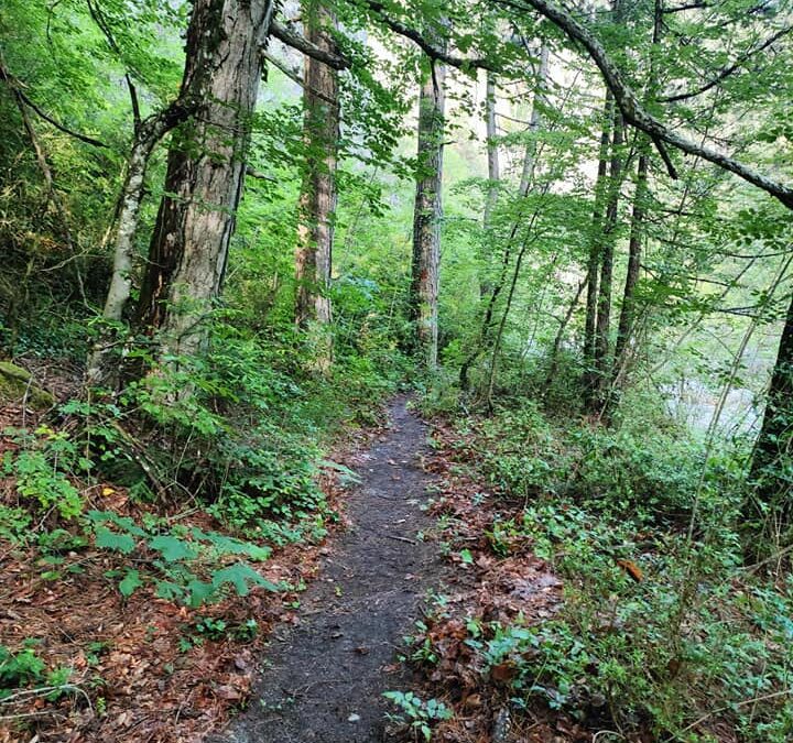 Live αποτελέσματα Olympus Melindra Trail 5km.