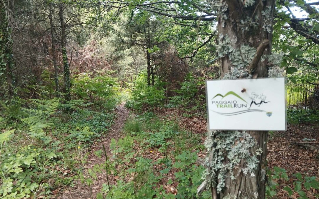 Στα παραμυθένια μονοπάτια του Paggaio Trail Run!