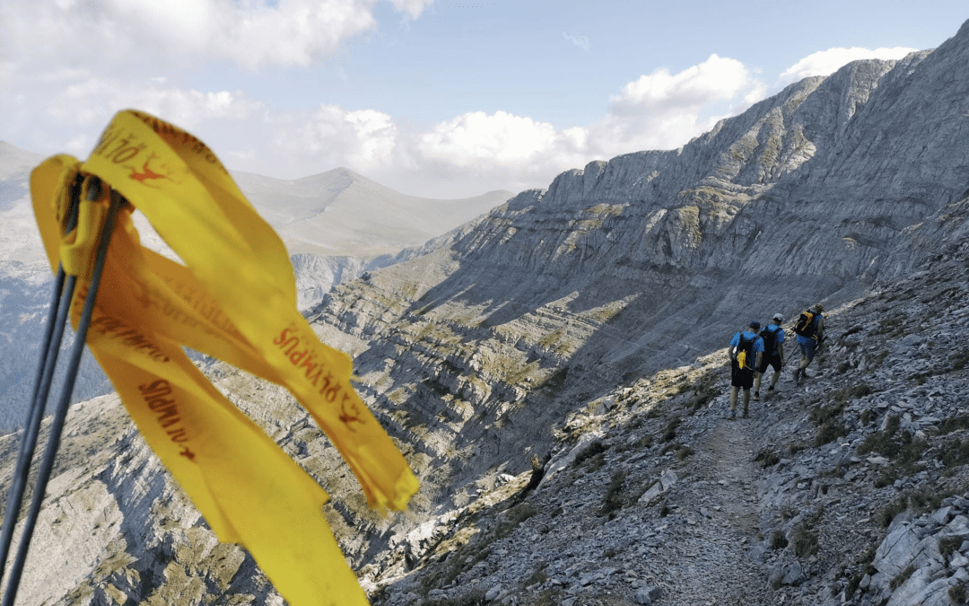 Ενημέρωση για τον 20ο Επετειακό Olympus Marathon!