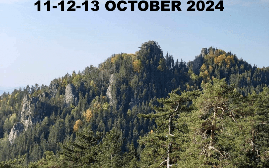 Virgin Forest Trail, 11-13 Οκτωβρίου 2024