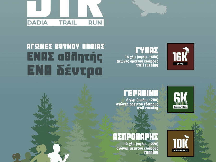 Dadia Trail Run, ένας αθλητής ένα δέντρο