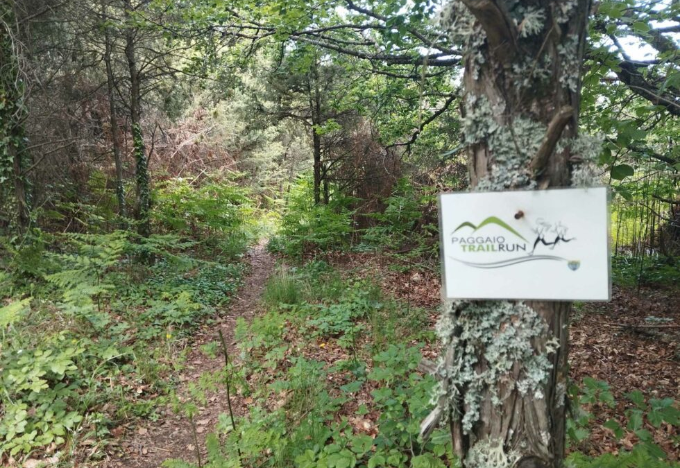 Paggaio Trail Run 2025 την Κυριακή 4 Mαΐου