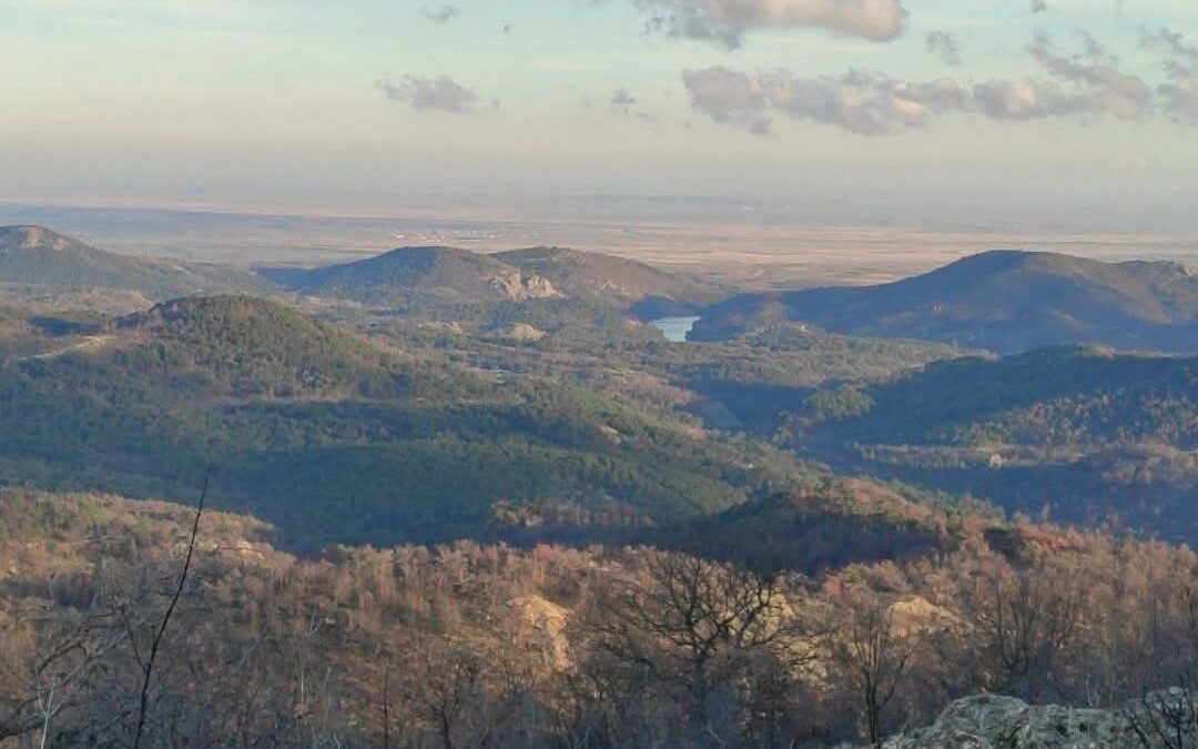 Dadia Trail Run, οι εγγραφές άνοιξαν!