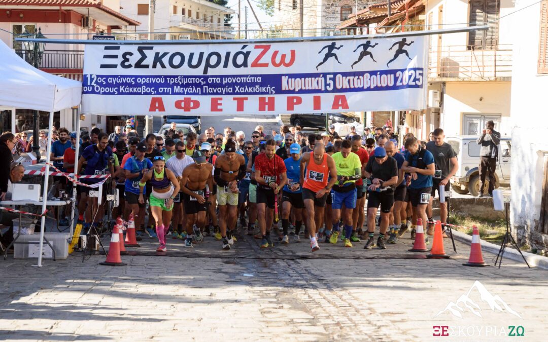 Μεταγωνιστικό Δελτίο 13ο ΞεΣκουριάζω