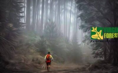 Live αποτελέσματα Virgin Forest Trail 2026